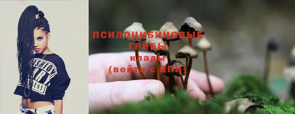 прущие крисы Армянск
