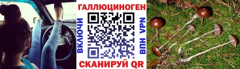 Псилоцибиновые грибы GOLDEN TEACHER  Купить  Мелеуз 