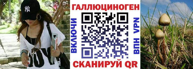Псилоцибиновые грибы Magic Shrooms Мелеуз